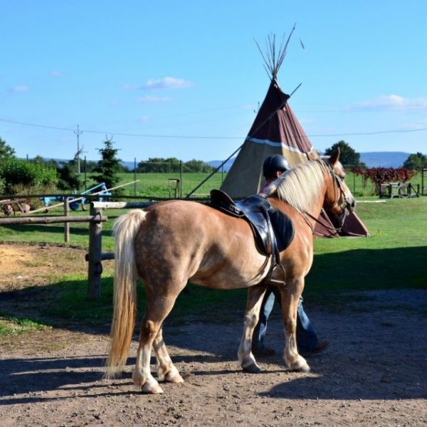Výuka jízdy na koních v Agrocentru Ohrada